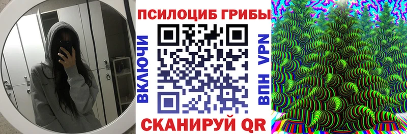 Купить Нолинск Псилоцибиновые грибы Magic Shrooms